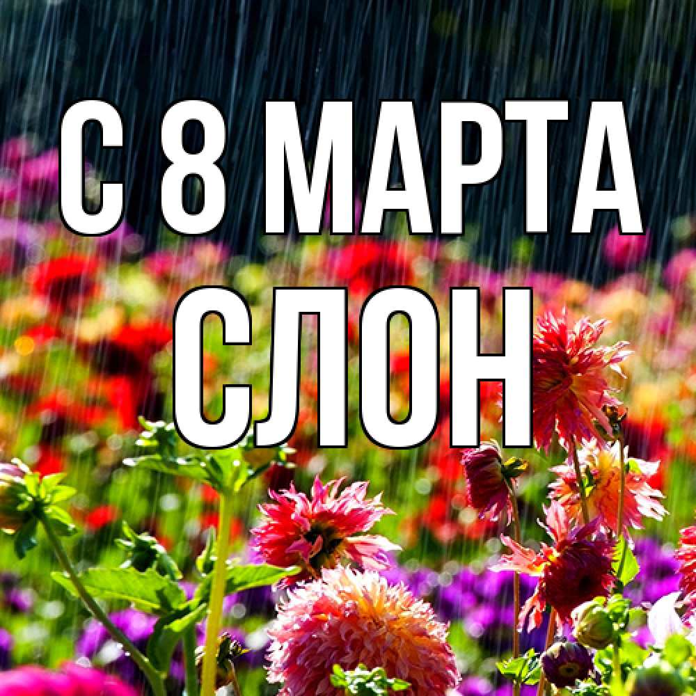 Открытка на каждый день с именем, Слон C 8 МАРТА цветы под дождиком к международному женскому дню Прикольная открытка с пожеланием онлайн скачать бесплатно 