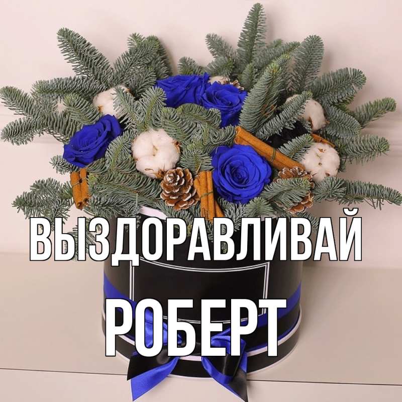 Картинка Выздоравливай, Роберт