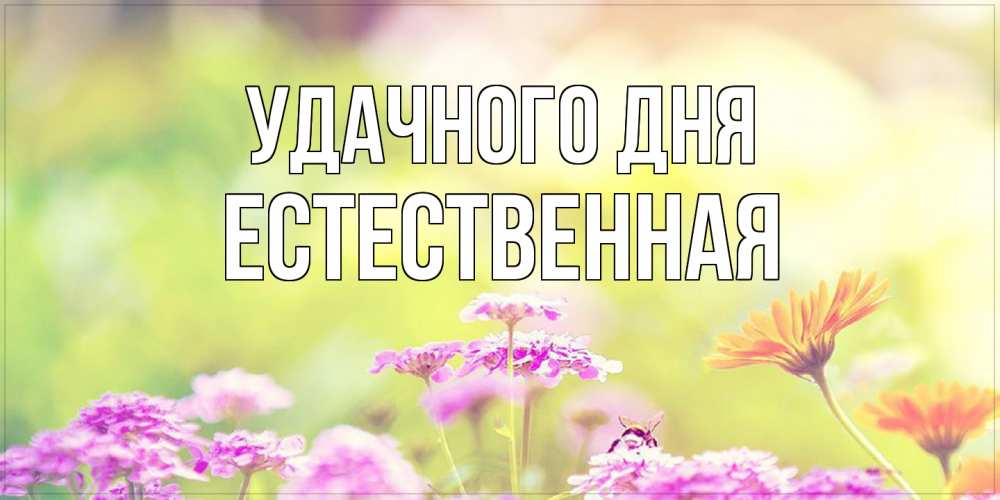Открытка на каждый день с именем, Естественная Удачного дня красивая открытка с летней темой Прикольная открытка с пожеланием онлайн скачать бесплатно 