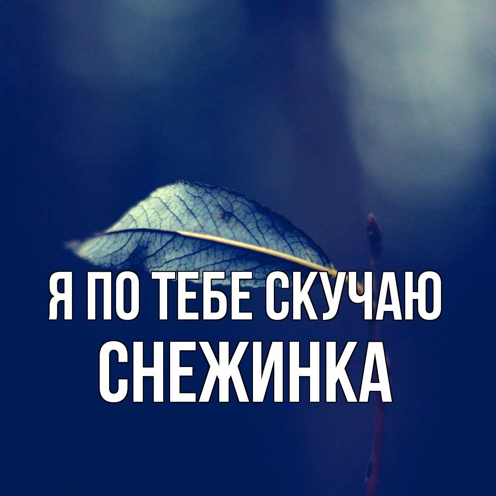 Открытка на каждый день с именем, Снежинка Я по тебе скучаю одна ветка 1 Прикольная открытка с пожеланием онлайн скачать бесплатно 
