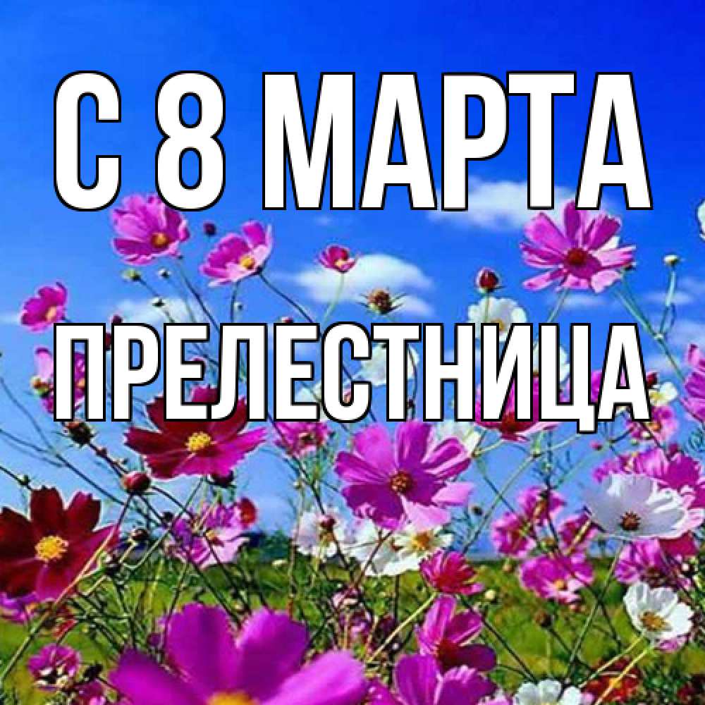 Открытка на каждый день с именем, пpелестница C 8 МАРТА цветы Прикольная открытка с пожеланием онлайн скачать бесплатно 