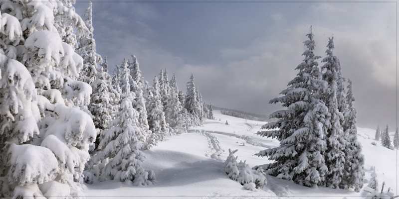 Открытка с именем, Мадлен, Доброе утро