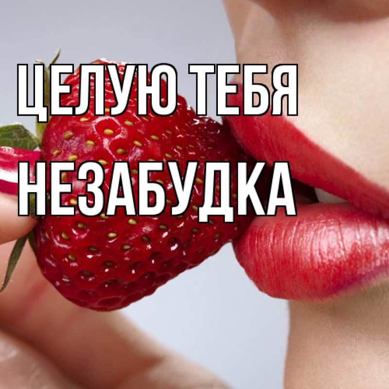 Картинка Целую тебя, Незабудка