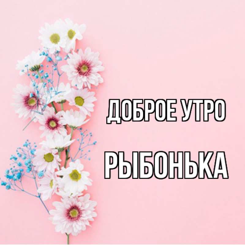 Картинка Доброе утро, Рыбонька