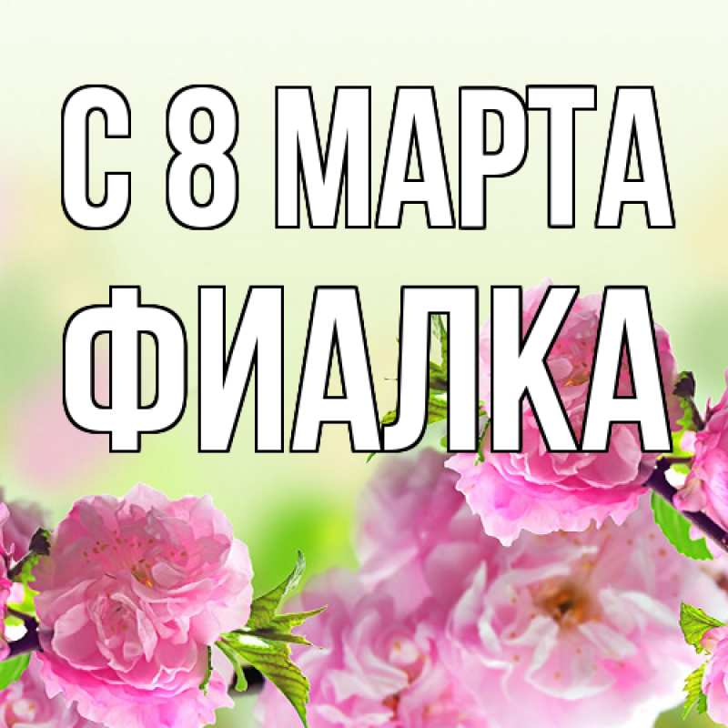 Картинка C 8 МАРТА, Фиалка