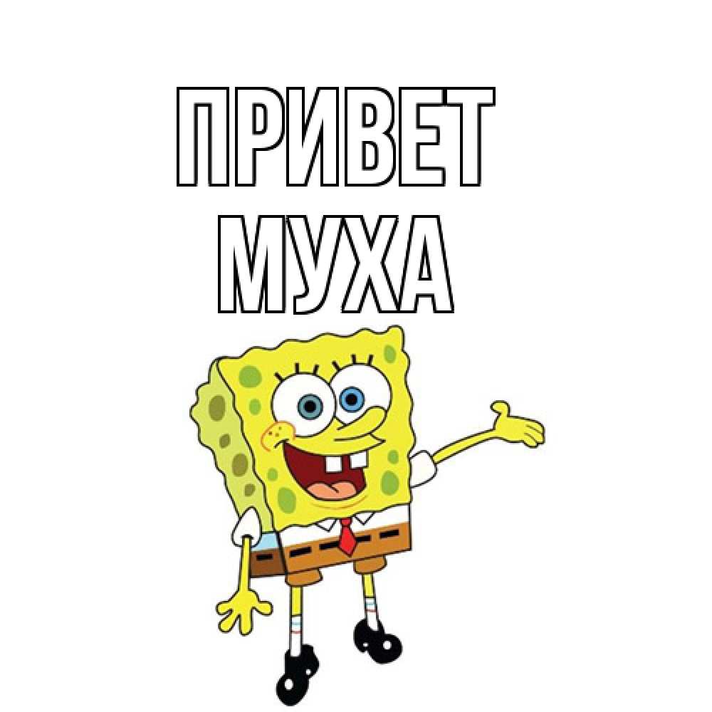 Открытка на каждый день с именем, Муха Привет спанч Боб на позитиве Прикольная открытка с пожеланием онлайн скачать бесплатно 