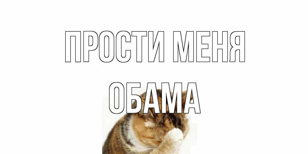 Открытка на каждый день с именем, Обама Прости меня кот Прикольная открытка с пожеланием онлайн скачать бесплатно 