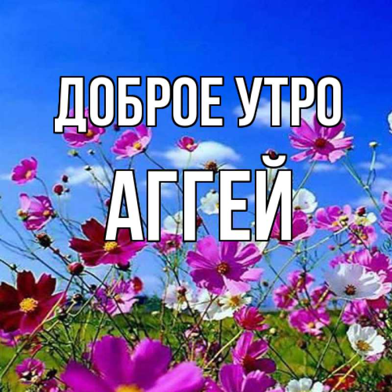 Картинка Доброе утро, Аггей