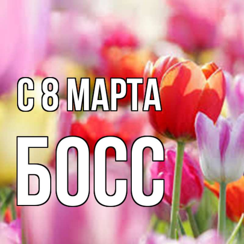 Картинка C 8 МАРТА, Босс