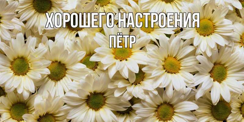 Картинка Хорошего настроения, Пётр