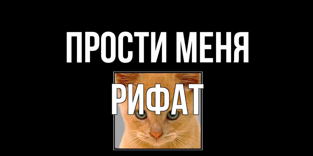 Открытка на каждый день с именем, Рифат Прости меня рыжий грустный кот просит прощения Прикольная открытка с пожеланием онлайн скачать бесплатно 