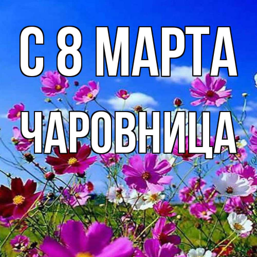 Открытка на каждый день с именем, чаровница C 8 МАРТА цветы Прикольная открытка с пожеланием онлайн скачать бесплатно 