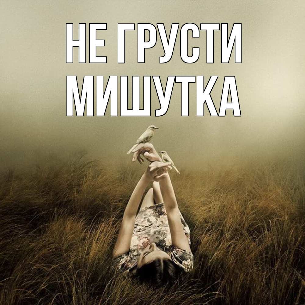Открытка на каждый день с именем, Мишутка Не грусти поле и туман Прикольная открытка с пожеланием онлайн скачать бесплатно 