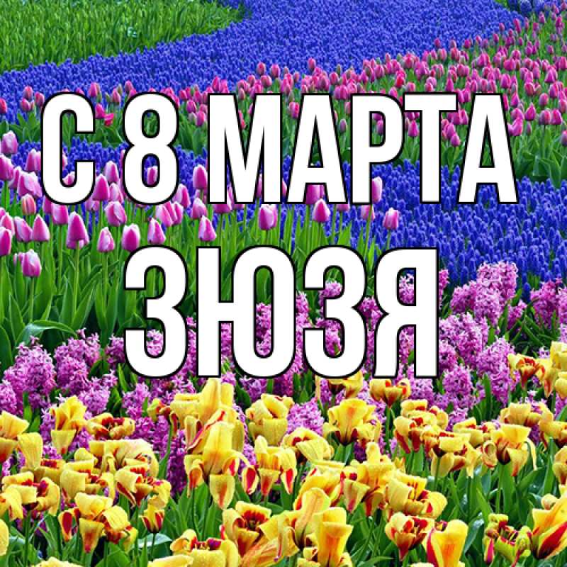 Картинка C 8 МАРТА, Зюзя