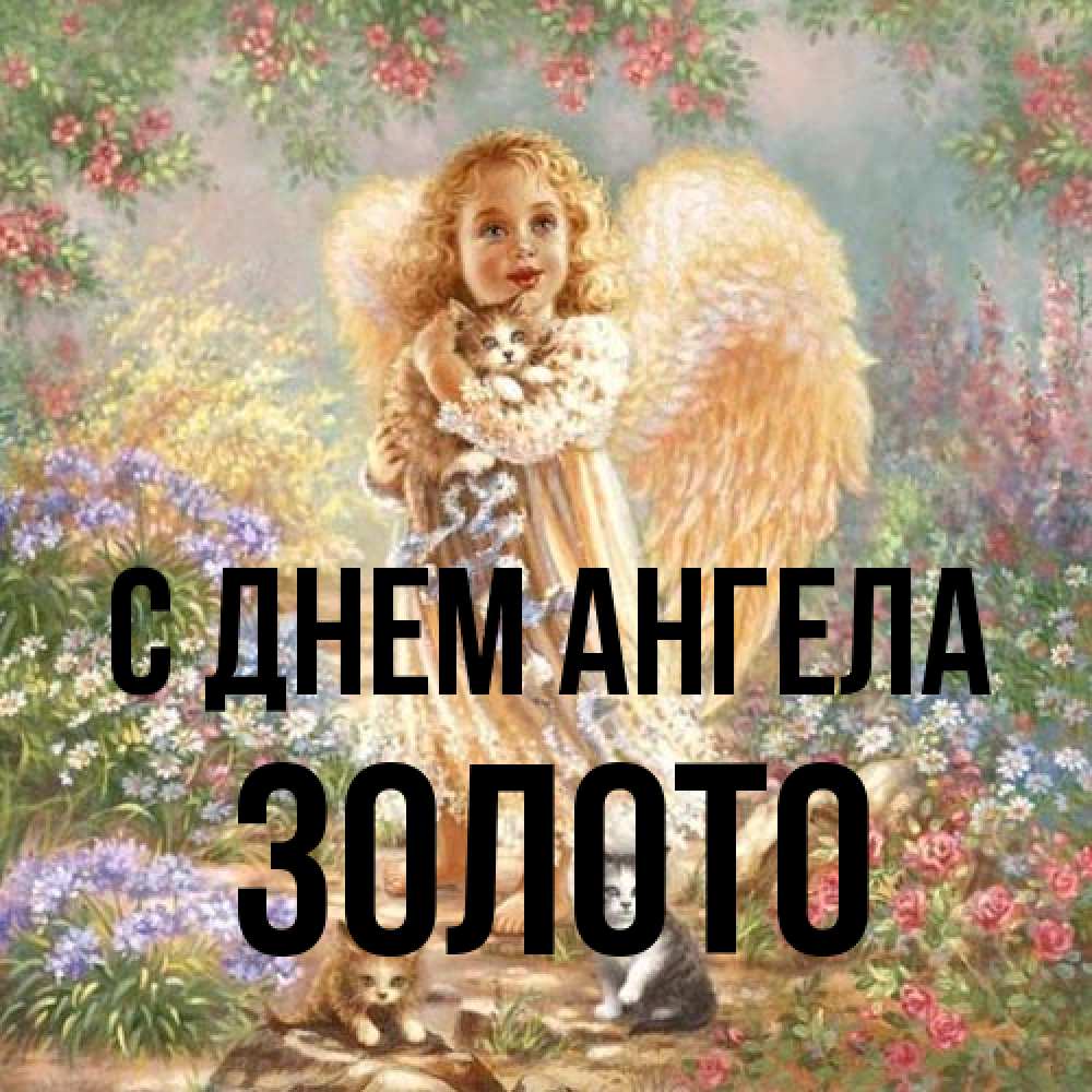 Открытка на каждый день с именем, Золото С днем ангела держит котенка Прикольная открытка с пожеланием онлайн скачать бесплатно 