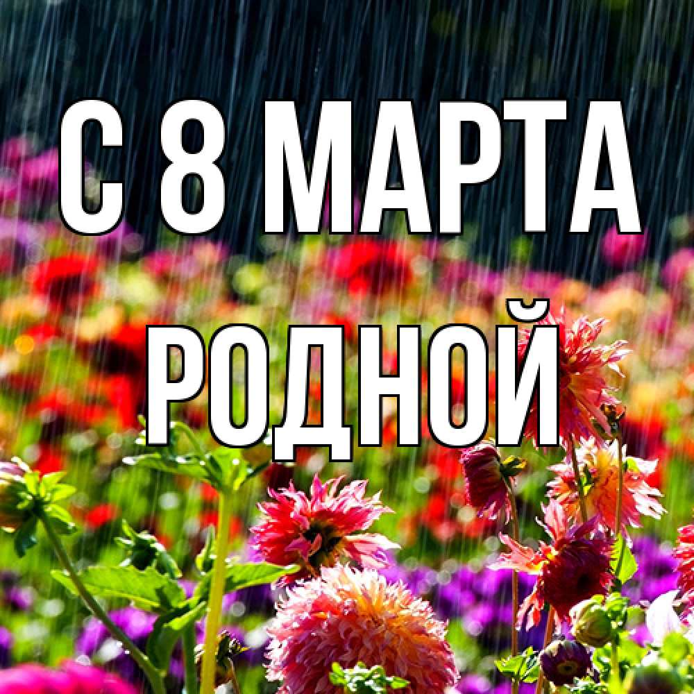 Открытка на каждый день с именем, Родной C 8 МАРТА цветы под дождиком к международному женскому дню Прикольная открытка с пожеланием онлайн скачать бесплатно 