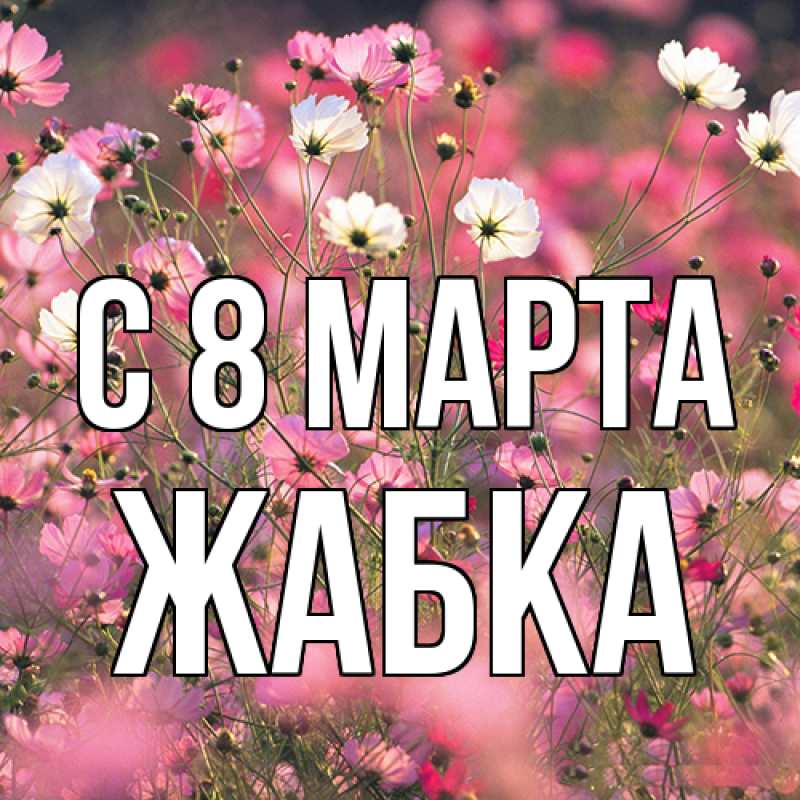 Картинка C 8 МАРТА, Жабка
