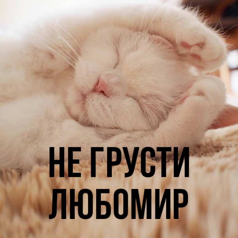 Картинка Не грусти, Любомир