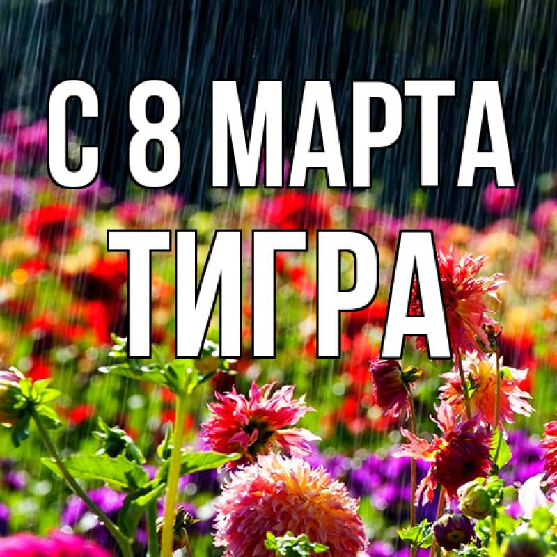 Картинка C 8 МАРТА, Тигpа