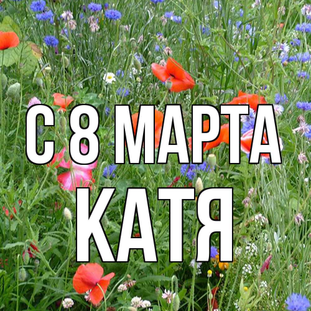 Открытка на каждый день с именем, Катя C 8 МАРТА международный женский день 4 Прикольная открытка с пожеланием онлайн скачать бесплатно 