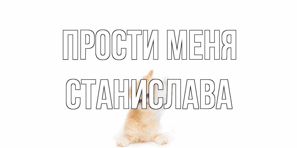 Открытка на каждый день с именем, Станислава Прости меня кот Прикольная открытка с пожеланием онлайн скачать бесплатно 