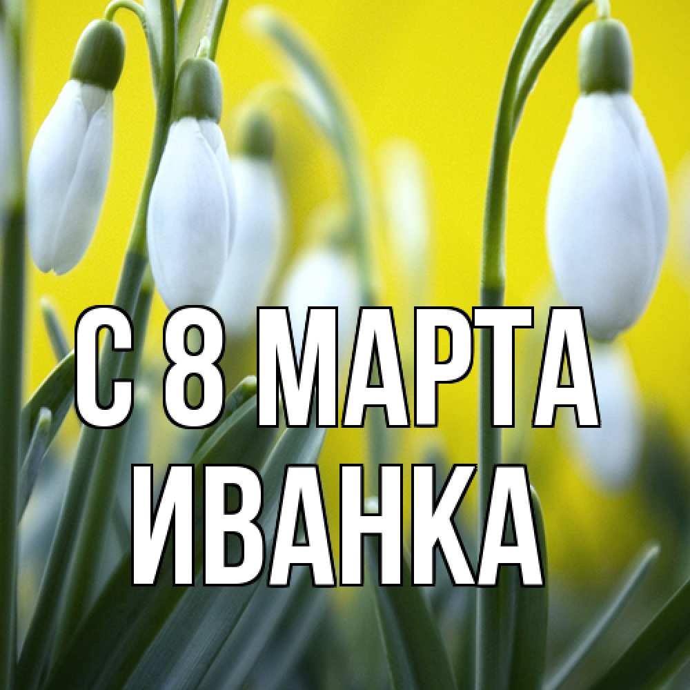 Открытка на каждый день с именем, Иванка C 8 МАРТА весенние цветы Прикольная открытка с пожеланием онлайн скачать бесплатно 