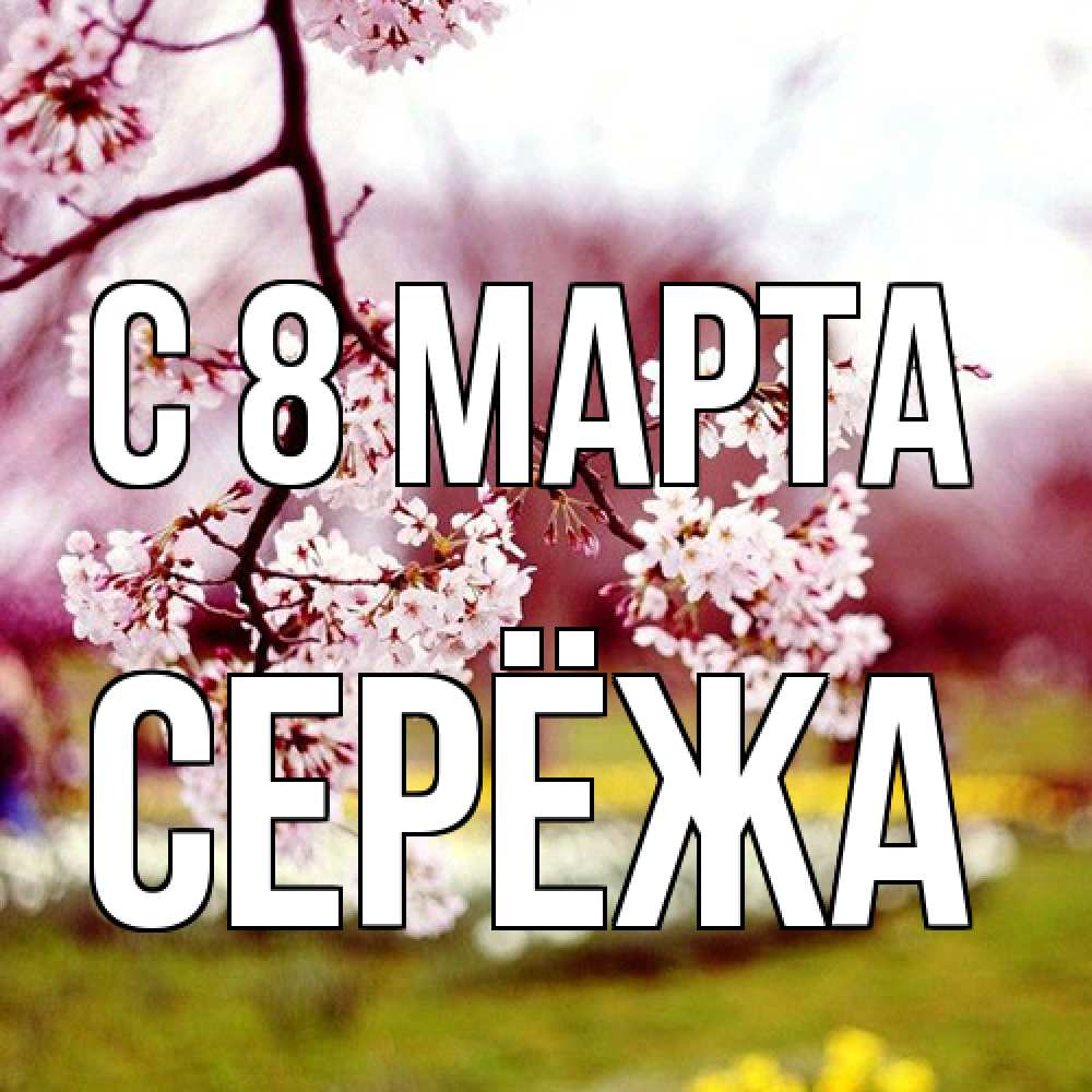 Открытка на каждый день с именем, Серёжа C 8 МАРТА яблоня Прикольная открытка с пожеланием онлайн скачать бесплатно 