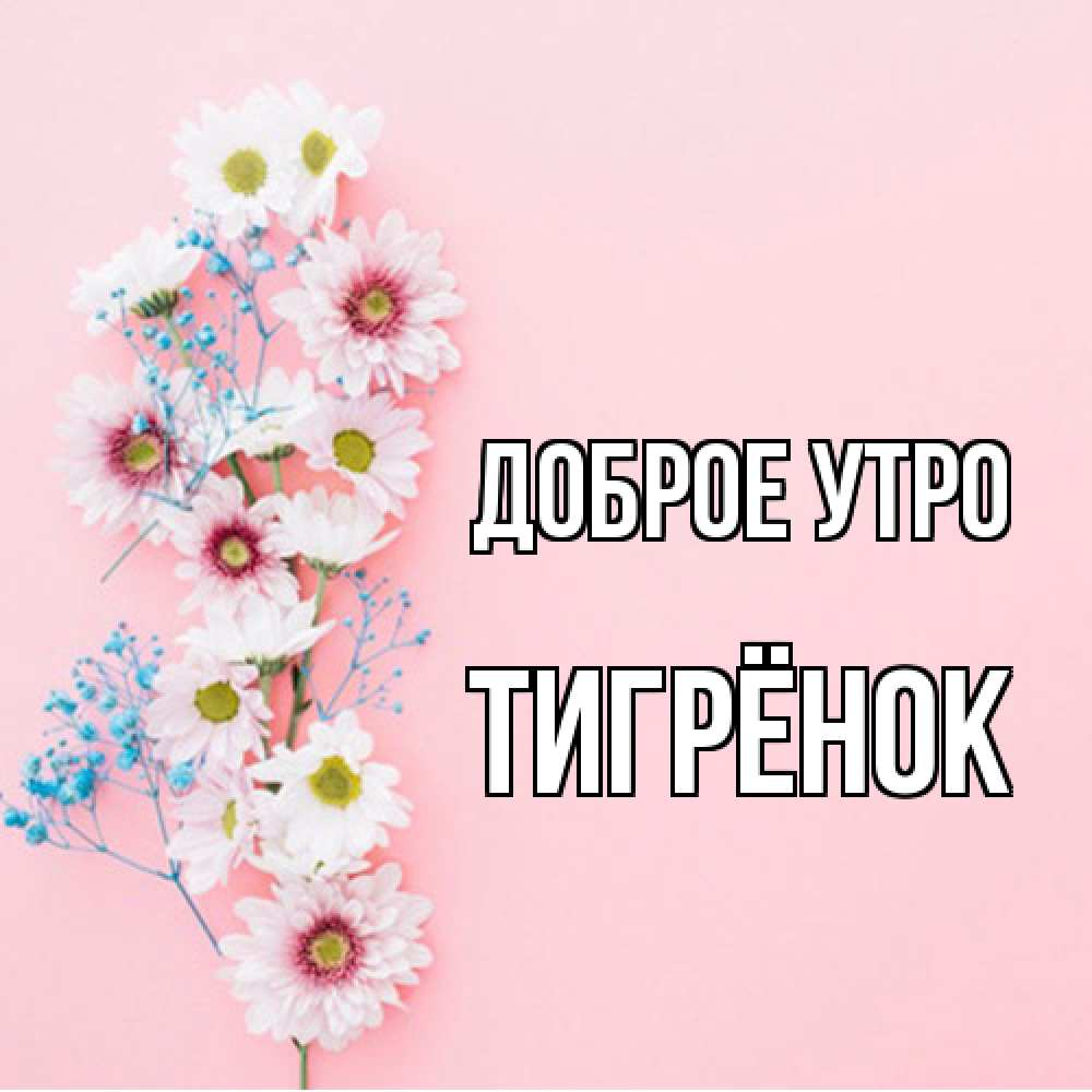 Открытка на каждый день с именем, Тигрёнок Доброе утро цветы с подписью Прикольная открытка с пожеланием онлайн скачать бесплатно 