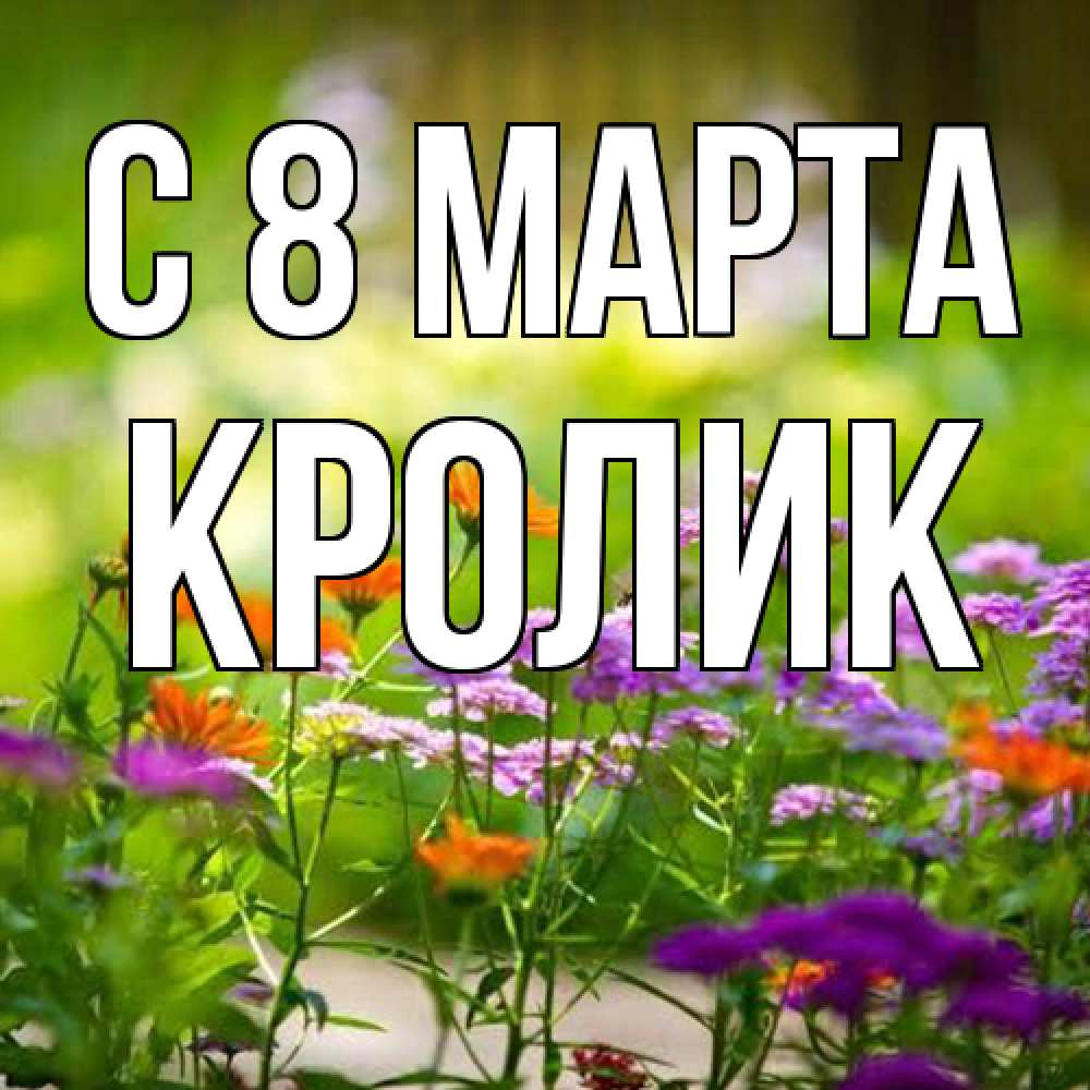 Открытка на каждый день с именем, кролик C 8 МАРТА цветы Прикольная открытка с пожеланием онлайн скачать бесплатно 