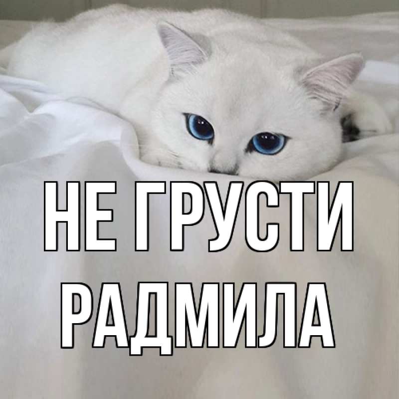 Картинка Не грусти, Радмила