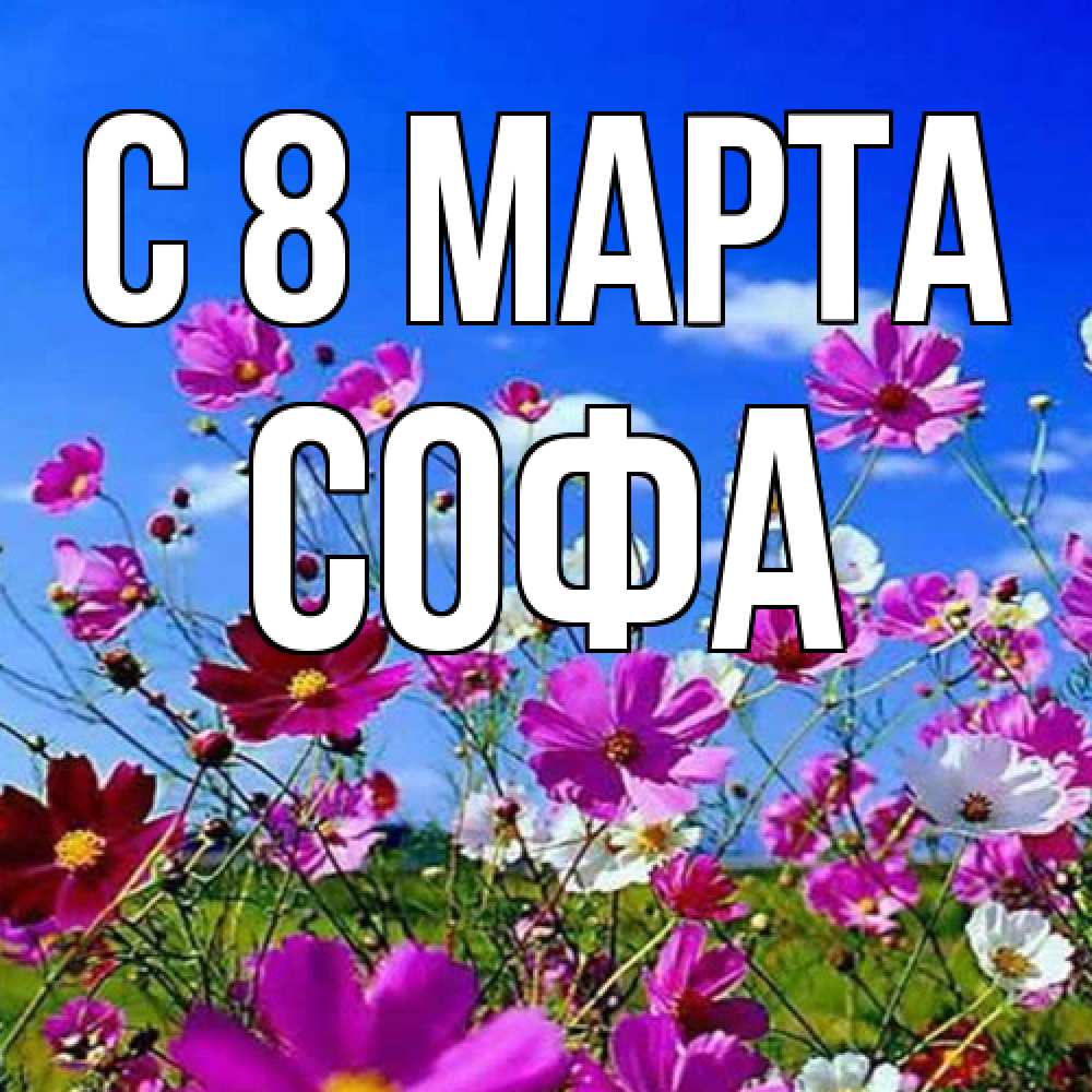 Открытка на каждый день с именем, Софа C 8 МАРТА цветы Прикольная открытка с пожеланием онлайн скачать бесплатно 