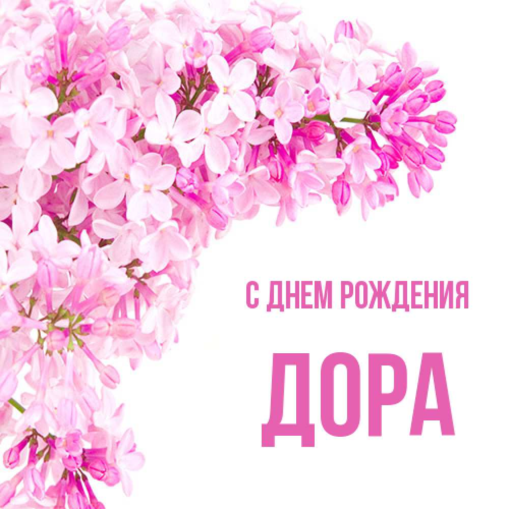 Открытка на каждый день с именем, Дора С днем рождения Сирень на белом фоне Прикольная открытка с пожеланием онлайн скачать бесплатно 