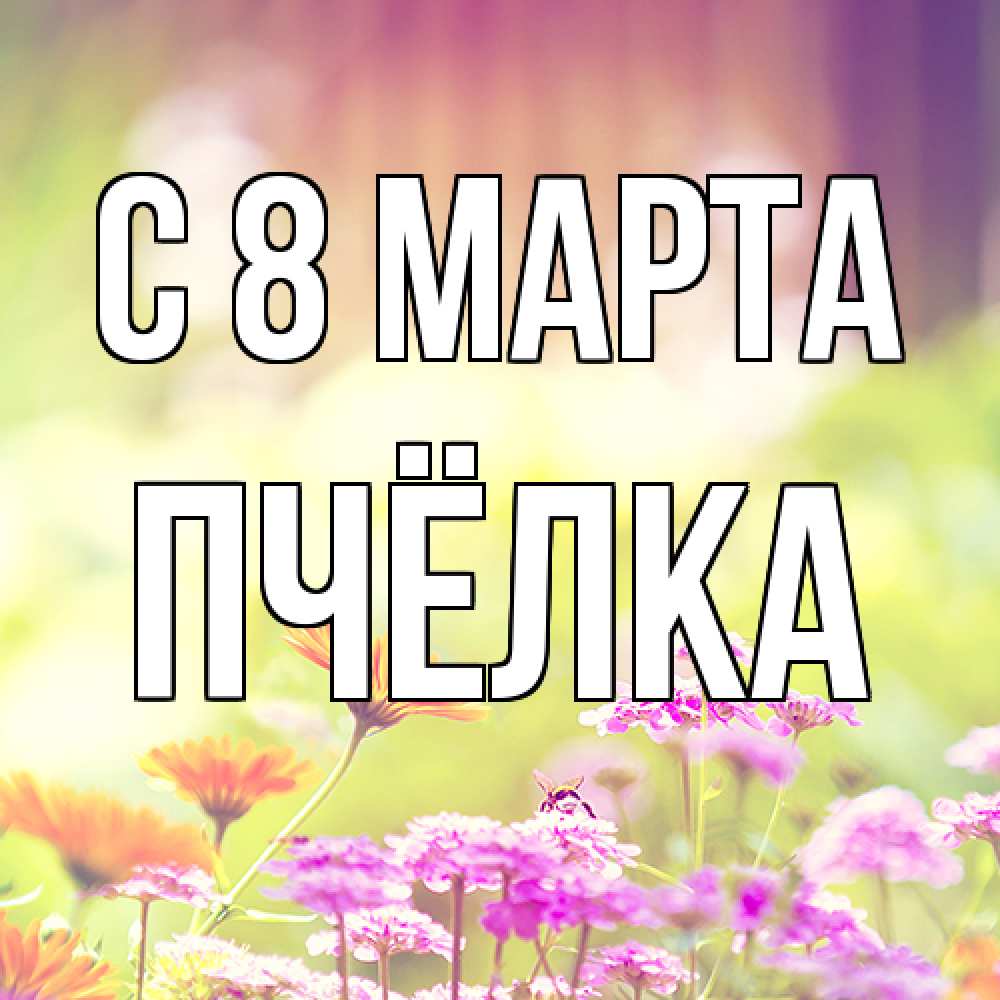 Открытка на каждый день с именем, Пчёлка C 8 МАРТА цветы весна Прикольная открытка с пожеланием онлайн скачать бесплатно 