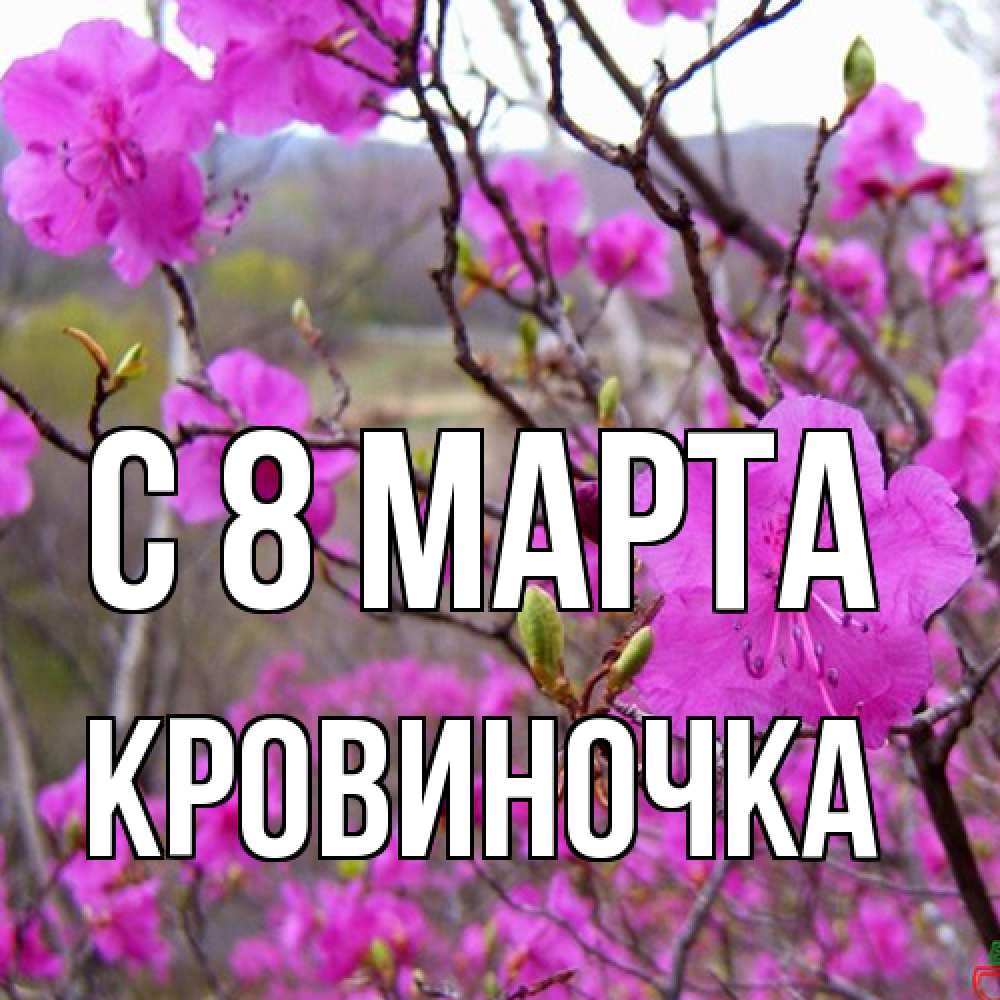 Открытка на каждый день с именем, кровиночка C 8 МАРТА международный женский день Прикольная открытка с пожеланием онлайн скачать бесплатно 