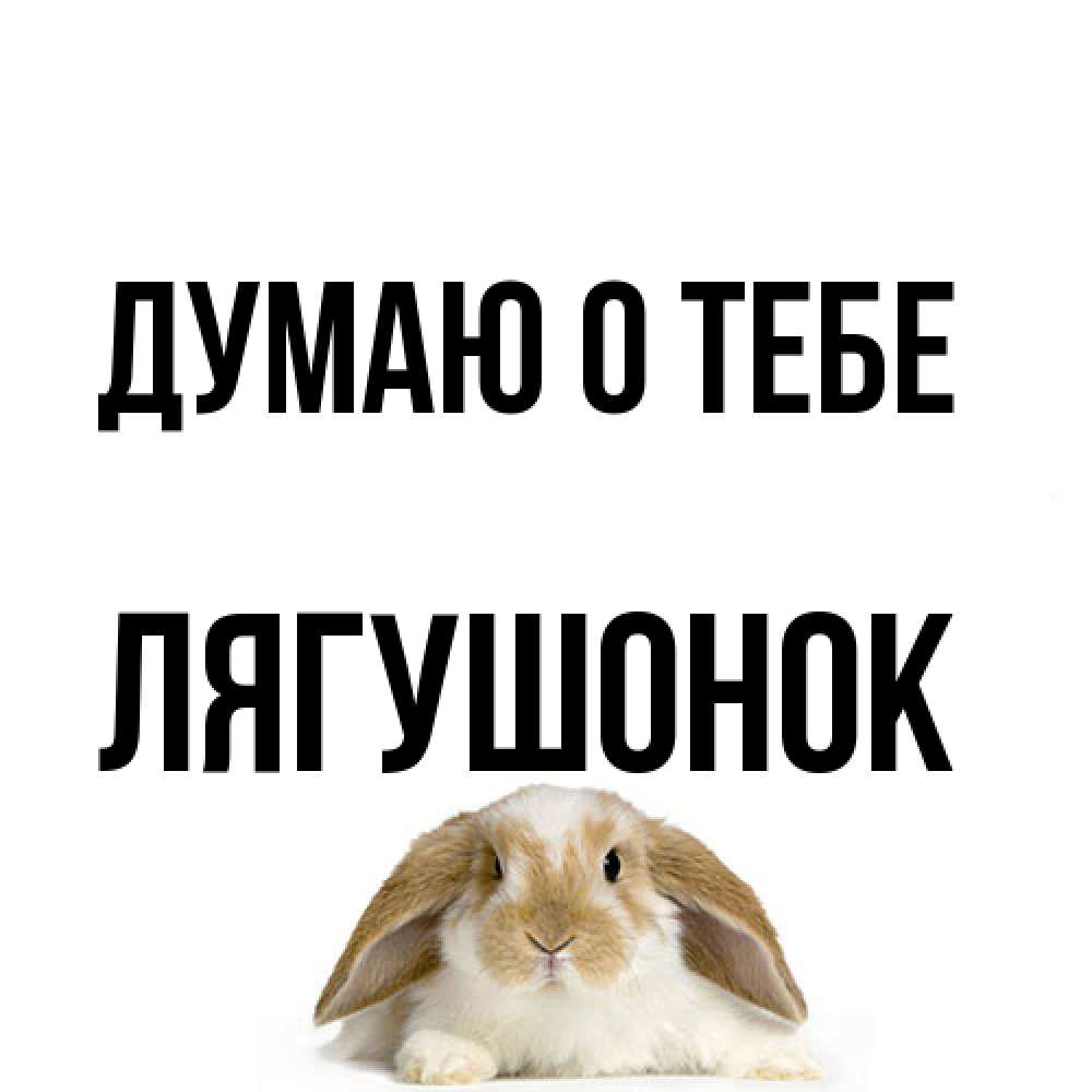 Открытка на каждый день с именем, лягушонок Думаю о тебе подписать своими руками онлайн Прикольная открытка с пожеланием онлайн скачать бесплатно 