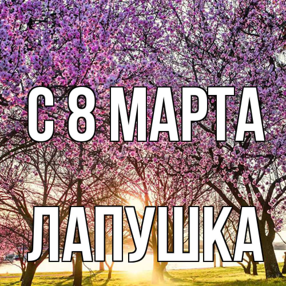 Открытка на каждый день с именем, лапушка C 8 МАРТА международный женский день Прикольная открытка с пожеланием онлайн скачать бесплатно 