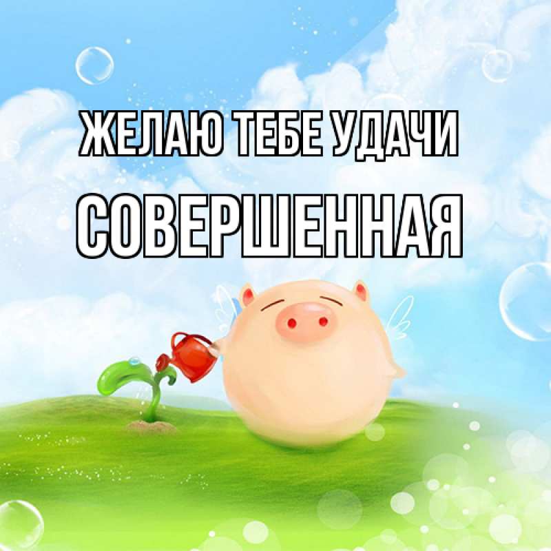 Картинка Желаю тебе удачи, Совершенная