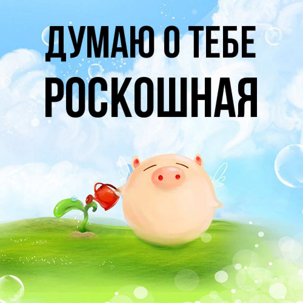 Открытка на каждый день с именем, Роскошная Думаю о тебе позитивная свинюшка Прикольная открытка с пожеланием онлайн скачать бесплатно 