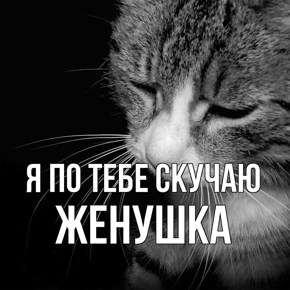 Открытка на каждый день с именем, женушка Я по тебе скучаю мне скучно Прикольная открытка с пожеланием онлайн скачать бесплатно 