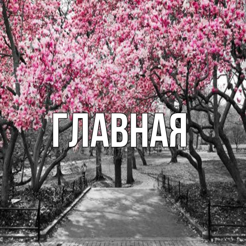 Картинка  с именем , настя