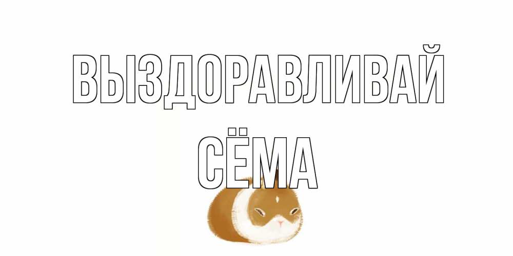 Открытка на каждый день с именем, Сёма Выздоравливай морская свинка на открытке с пожеланиями не болеть Прикольная открытка с пожеланием онлайн скачать бесплатно 