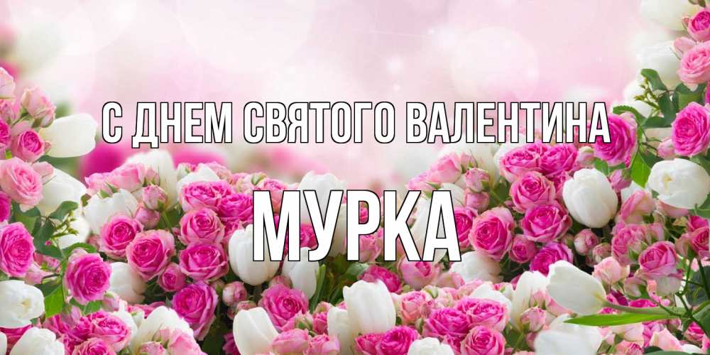Открытка на каждый день с именем, Мурка С днем Святого Валентина валентинка с именем Прикольная открытка с пожеланием онлайн скачать бесплатно 