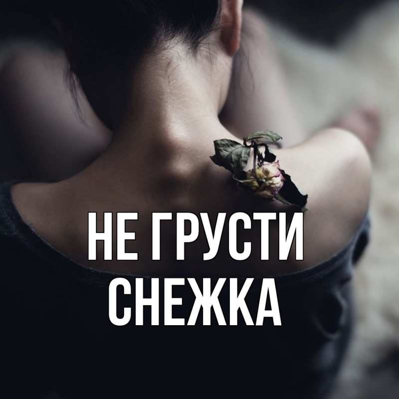 Картинка Не грусти, Снежка