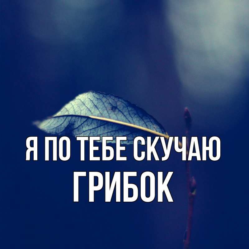 Картинка Я по тебе скучаю, Грибок