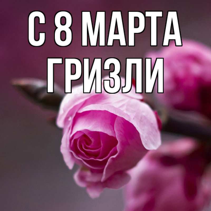 Картинка C 8 МАРТА, Гризли
