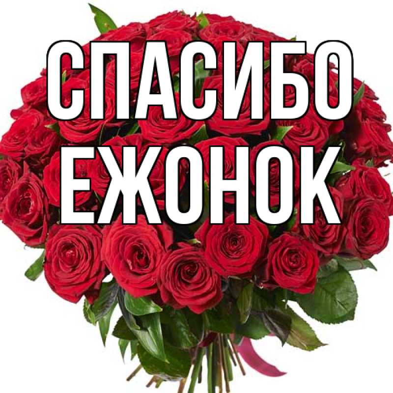 Картинка Спасибо, Ежонок