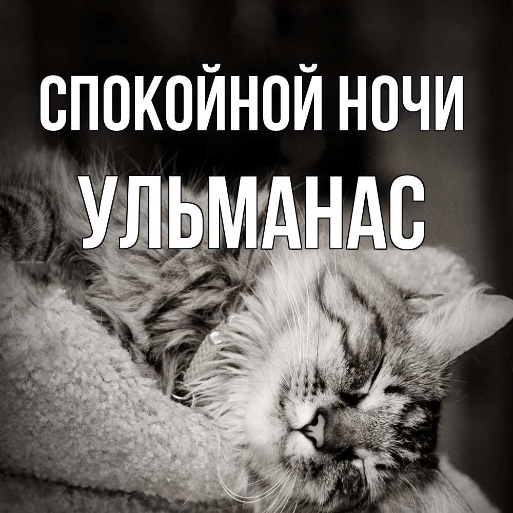 Открытка на каждый день с именем, Ульманас Спокойной ночи котярик пушистый Прикольная открытка с пожеланием онлайн скачать бесплатно 