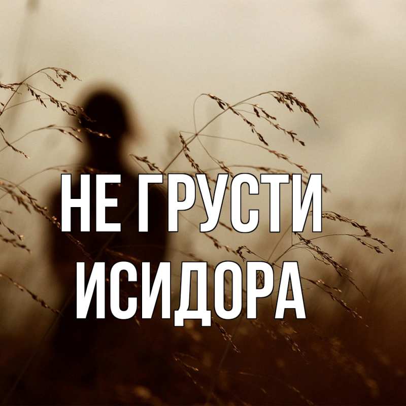 Картинка Не грусти, Исидора