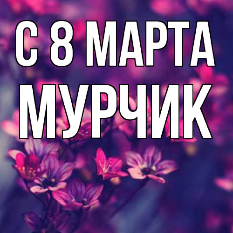 Картинка C 8 МАРТА, Мурчик
