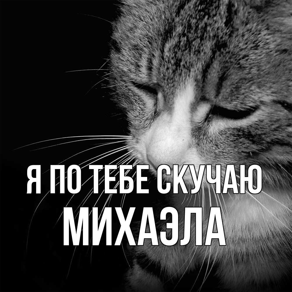 Открытка на каждый день с именем, Михаэла Я по тебе скучаю мне скучно Прикольная открытка с пожеланием онлайн скачать бесплатно 